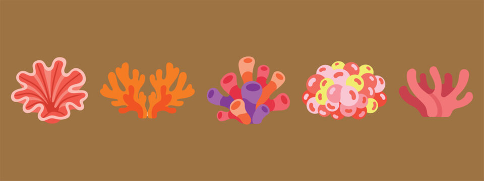 Vibrant Underwater Coral Collection Displayed on a Plain Brown Background