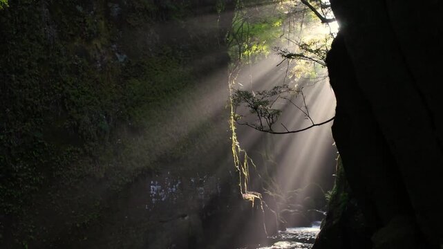 新緑の菊池渓谷　逢ぞめの滝