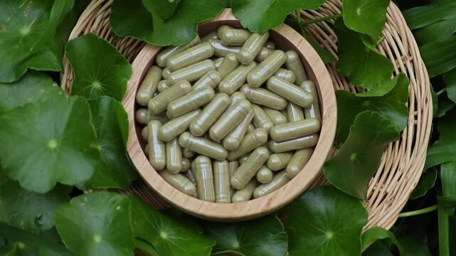 Centella asiatica capsule. Herbal supplements.