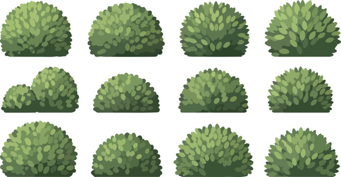 https://chatgpt.com/c/69e11756-e0a8-8322-ab54-88185fdb2525#:~:text=Realistic%20Garden%20Shrub%20Collection%20Landscaping%20Vector%20Set