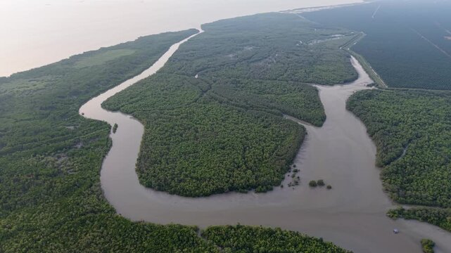 Drone aerial view of winding mangrove river delta