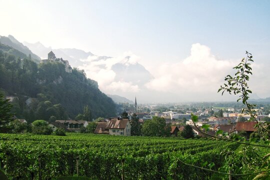 Panoramic view of Vaduz in Liechtenstein featuring green vineyards in the foreground, Vaduz Castle on a forested hill, and a town in the valley under a cloudy sky with mountain peaks behind