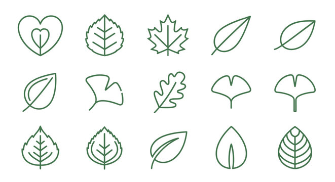 Collection of various leaf shapes.