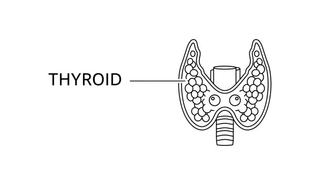 Modern circular snake logo design, black and white serpent vector illustration.