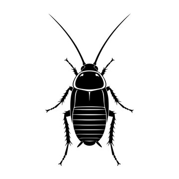 Black cockroach vector illustration, pest insect