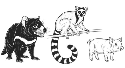 Animal Drawing of Raccoon Dog Lemur Perched on Branch and Pig Silhouette in Monochrome © Choate