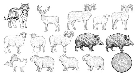 Fototapeta premium Animal Drawing Set Featuring Tiger Deer Rams Capybaras and Boar in Sketch Style