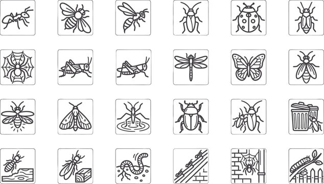 Urban insect vector icons set, black line small critters icons, ants bees spiders cockroaches butterflies dragonflies beetles fireflies CAD illustration