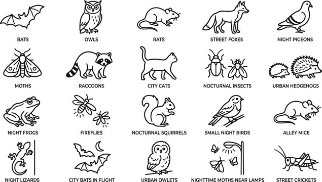 Night urban wildlife vector icons set, black line nocturnal animals icons, bats, owls, foxes, rats, moths, raccoons, insects CAD style