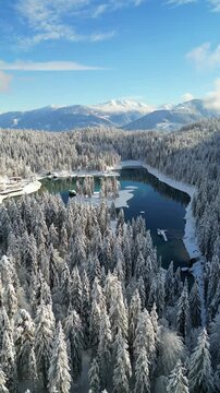 Lake Cauma Caumasee in Flims, Switzerland during winter aerial drone vertical video reel