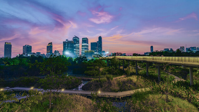 sunset over benjakitti forest park in bangkok: modern city skyline and green urban nature landscape 