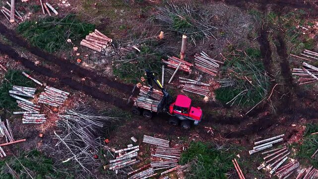 Forwarder machine loading and transporting timber logs from a deforested area