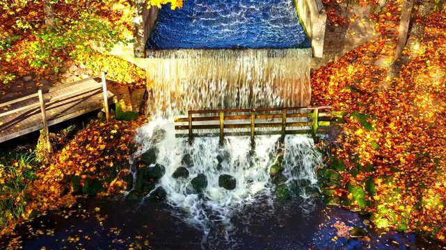 Autumn season coloring a stream flowing over a small dam structure