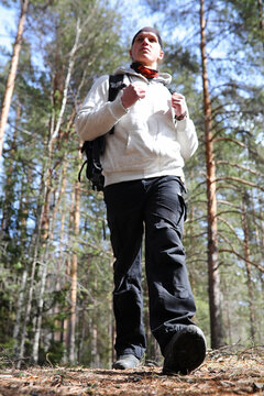 A man is a tourist in a pine forest with a backpack. A hiking trip through the forest. Pine reserve for tourist walks. A young man a hike in the spring.