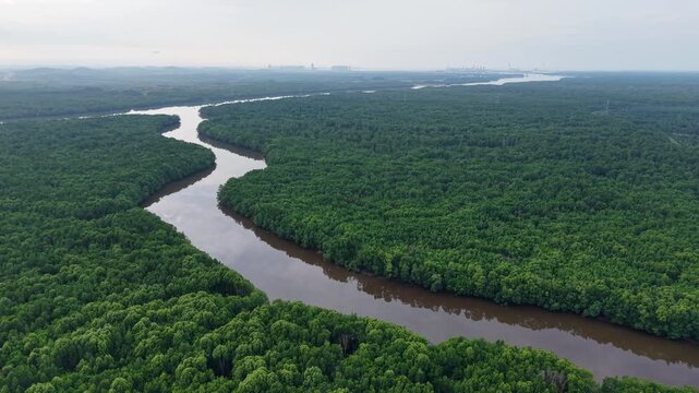 Aerial Drone View of Sungai Pulai Johor Mangrove River Malaysia