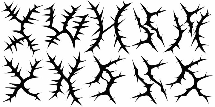 Sharp black thorns arranged in a chaotic densely packed pattern
