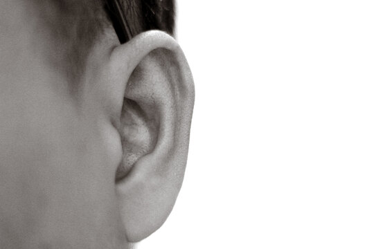 Close-Up of Human Ear on White Background, Black and White Macro Portrait, Listening Concept