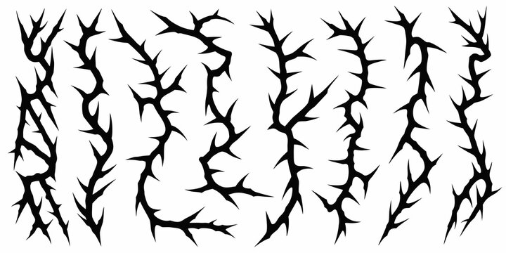 Black thorn branches and sharp spikes create a dangerous abstract pattern
