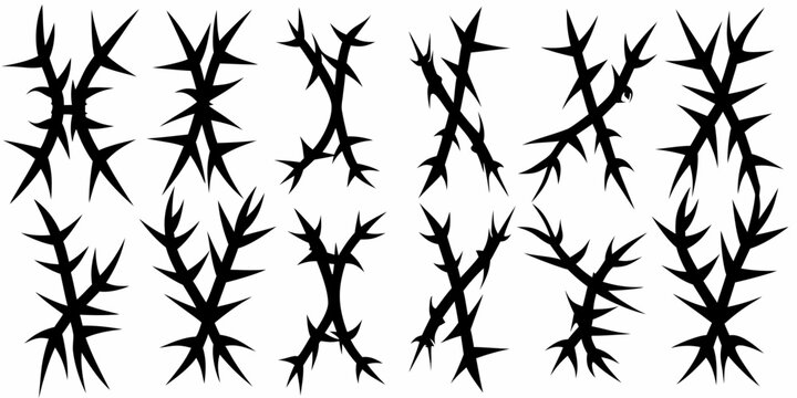 Sharp black thorns arranged in clusters on a white background