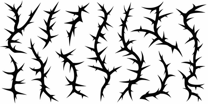 A collection of sharp black thorns arranged on a white background