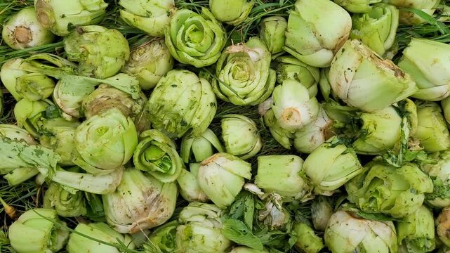 piles of cut organic green pak choi bok choy vegetables food scraps or waste