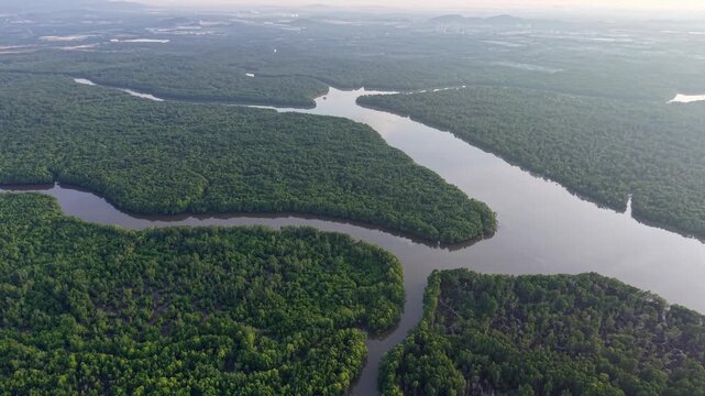 Aerial View Over Sungai Pulai Mangrove Forest Johor