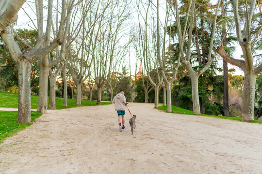 Man exercising and walking his dog in park