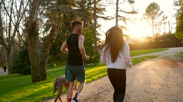 Young athletic couple and their greyhound dog enjoying an evening run together on a path in a beautiful park, jogging away from the camera into the warm, golden glow of the setting sun