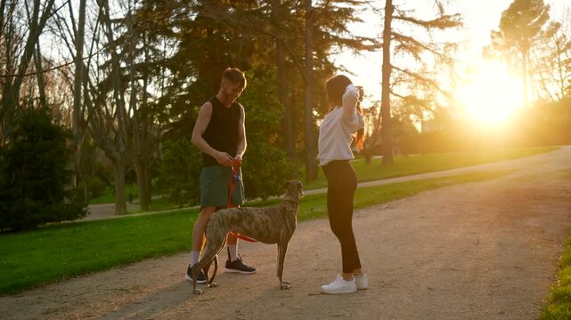 Young athletic couple in sportswear stretching their arms and warming up before a run with their brindle greyhound dog in a beautiful park, enjoying the golden hour sunlight together