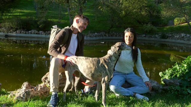 Happy young man and woman spending a lovely day outdoors, affectionately petting their beautiful brindle greyhound while sitting by a serene pond in a lush green park on a sunny day