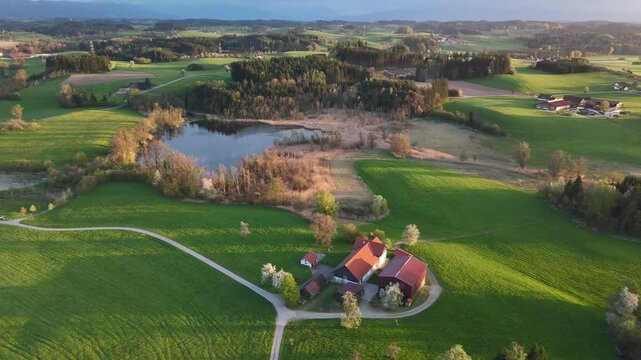 Rural Family Farm Amid Lush Green Meadows and Farmland at Sunset, Alpine Foothills, Switzerland, Austria or Southern Germany