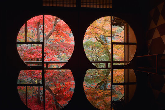 Scenic Night View of Kiyomizu tumple Illumination in Autumn Nigh