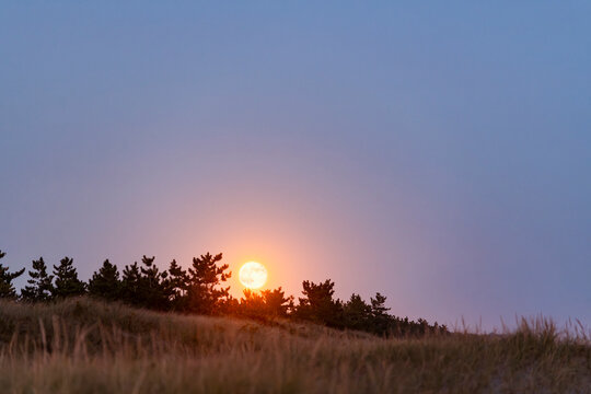 Supermoon rise over beach dunes in October 2024