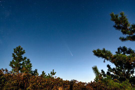 Comet Tsuchinshan-ATLAS C3 over beach dunes in October 2024