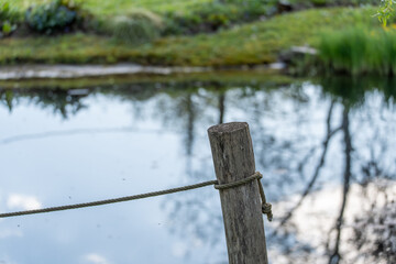 Naklejka premium Rustic wooden post stands by calm pond water. Faint reflections ripple gently across the surface. Green grass and reeds frame the tranquil background. Weathered rope ties the post, adding rustic charm