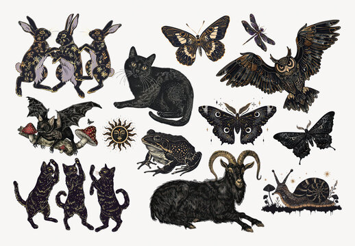 Vintage Mystical Animal Illustrations Element Set