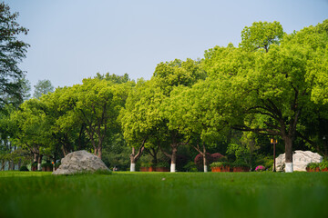 Obraz premium Spring Scenery of East Lake Scenic Area, Wuhan, Hubei, China