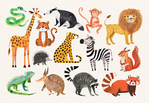 Colorful Illustrated Wild Animals element Set
