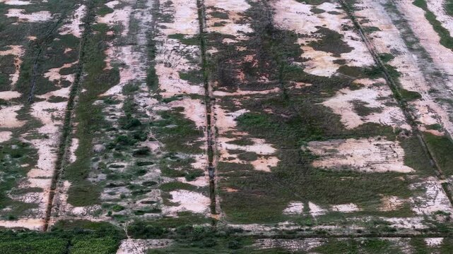 Drone footage shows cleared land and remnant vegetation in oil palm plantation conversion.
