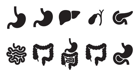Fototapeta premium A collection of black silhouette icons representing various organs of the human digestive system on a clean white background, ideal for medical and educational use.