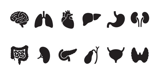 Obraz premium A clean, simple graphic illustration features a collection of black silhouette icons representing various human organs against a white background, suitable for medical and educational use.