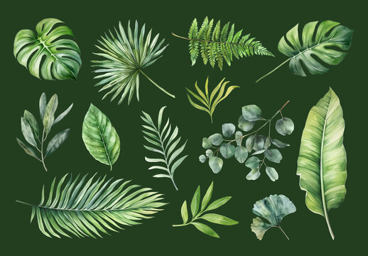 Variety Of Lush Green Leaves Element Design Set