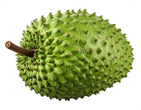 Fresh Soursop Fruit Isolated on White Background - A Tropical Delight.