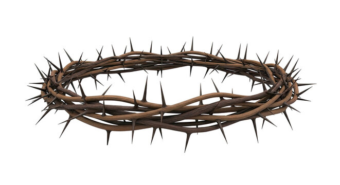 Crown of Thorns