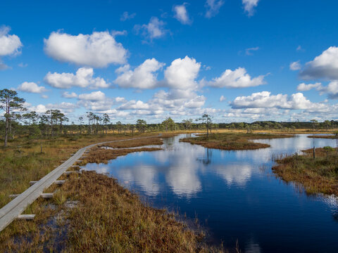 Plank walkway across a moorland lake under cloudy sky in Estonia