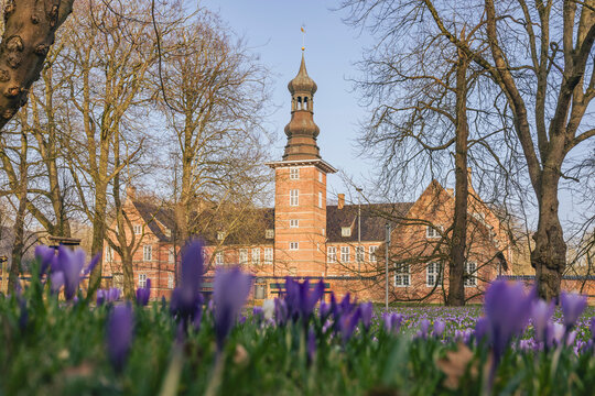 Husum castle in Germany during spring with blooming purple crocus