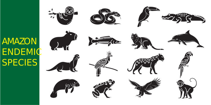 Amazon Endemic Species Illustration: An illustration showcasing a collection of diverse animals native to the Amazon rainforest.