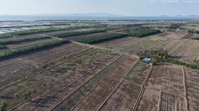 Aerial Drone View of Tanjung Piandang Paddy Fields Malaysia