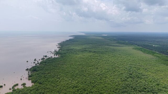 Aerial Drone View of Ayer Baloi Mangrove Coastline