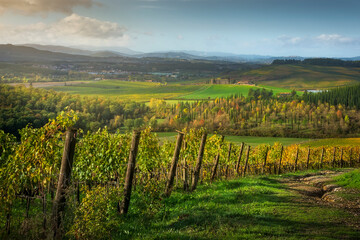 Naklejka premium Chianti Vineyards and Tuscan Landscape at Dawn, Castellina